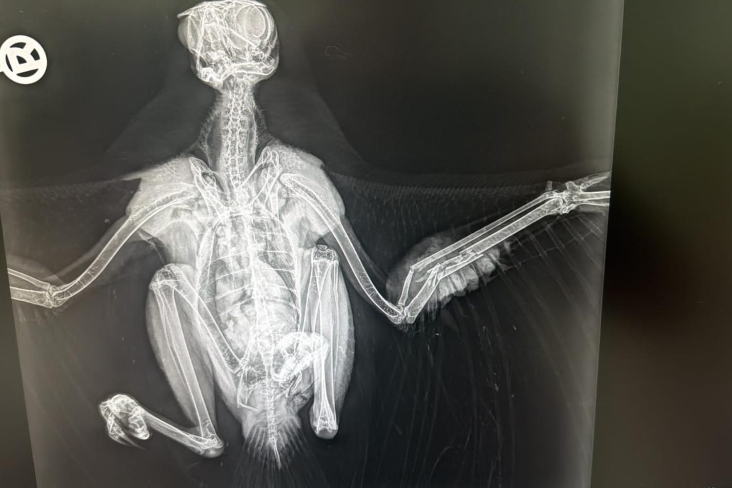 7665e519-81fc-48fa-9f56-ead23e4b88cc